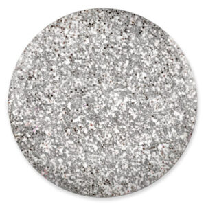 207 Silver