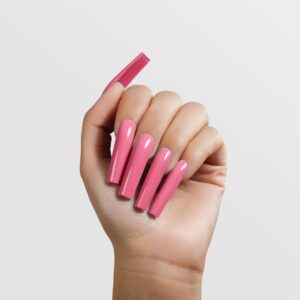 Raspberry Rose - A165